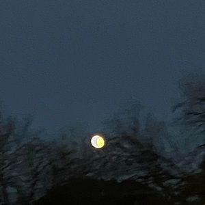 Meet your Posher, Cecilia